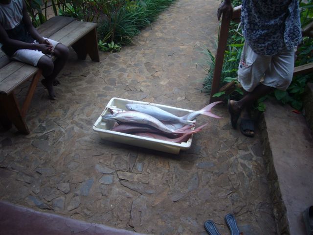 pesce 001.jpg (61762 byte)